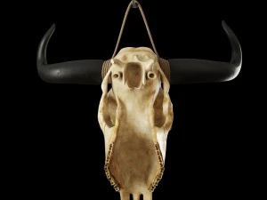 cow skull 3D Model