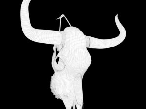 cow skull Modèle 3D