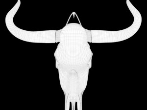 cow skull Modèle 3D