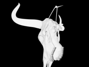 cow skull Modèle 3D