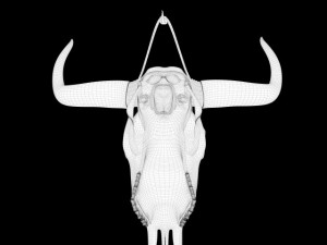 cow skull Modèle 3D
