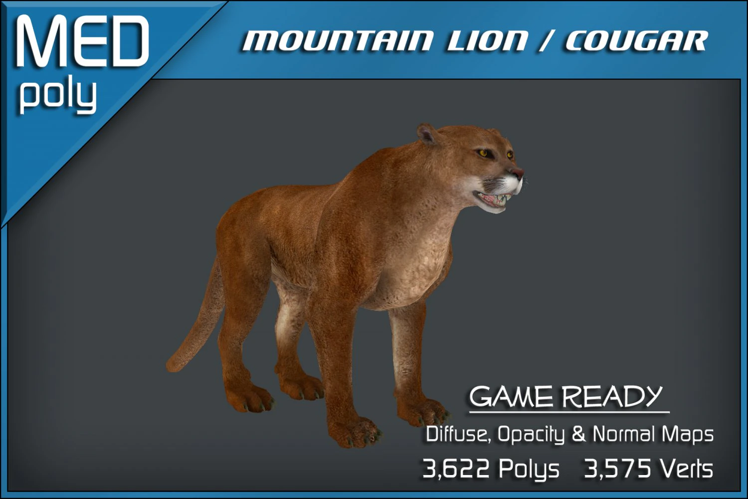 mountain lion  cougar 3D Model .c4d .max .obj .3ds .fbx .stl .blend 