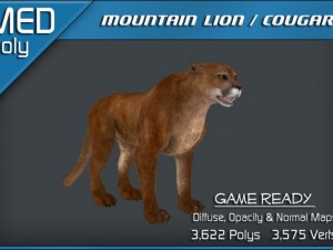 mountain lion  cougar 3D Модель