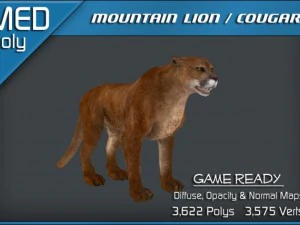 гірський лев пума 3D Модель
