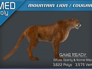 mountain lion  cougar 3Dモデル
