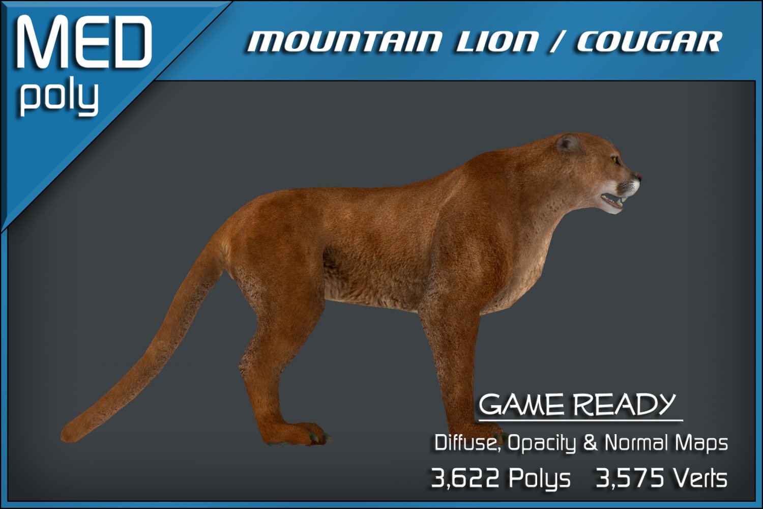 Mountain Lion Cougar 3D Model in Cat 3DExport