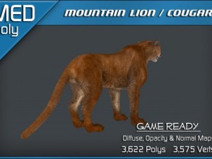 mountain lion  cougar 3Dモデル
