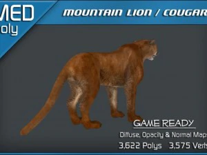mountain lion  cougar 3D Model