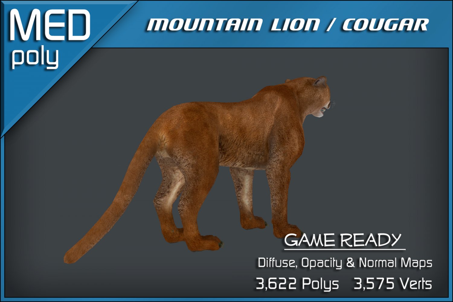Mountain Lion Cougar 3D Model in Cat 3DExport