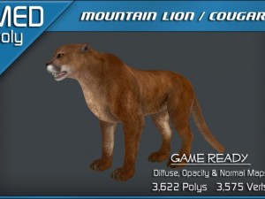 mountain lion  cougar 3Dモデル