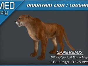 mountain lion  cougar 3D Model