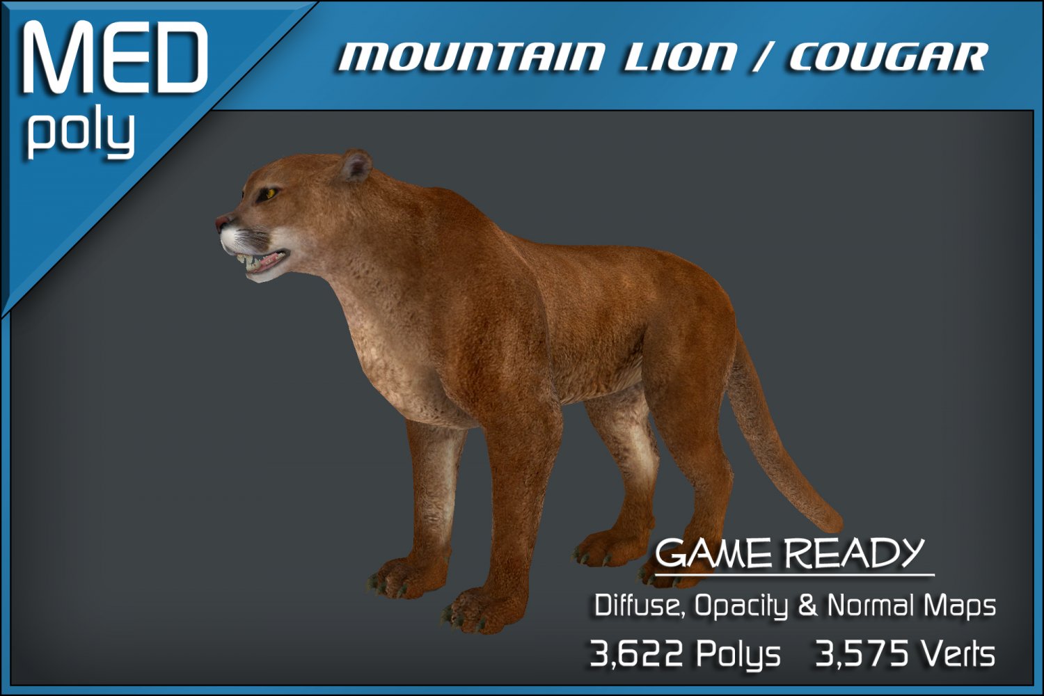 Mountain Lion Cougar 3D Model in Cat 3DExport
