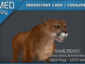 mountain lion  cougar 3Dモデル
