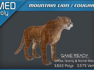 mountain lion  cougar 3Dモデル