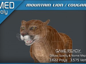 mountain lion  cougar 3Dモデル
