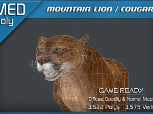 mountain lion  cougar 3D Model