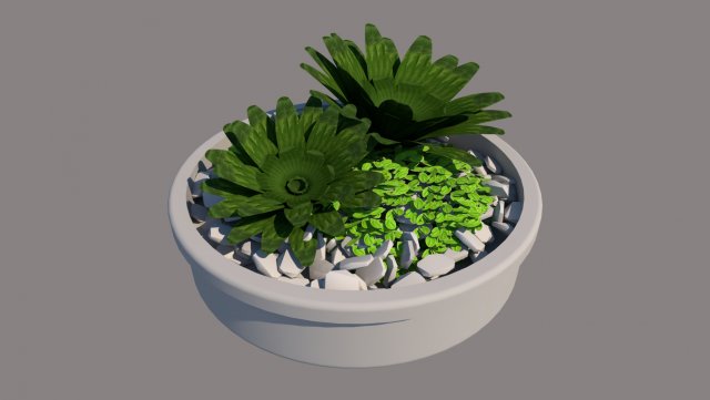 plant vase 3D Model .c4d .max .obj .3ds .fbx .stl .blend 