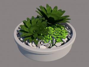 plant vase Modèle 3D