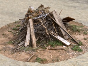 wood debris photoscan Modelo 3D