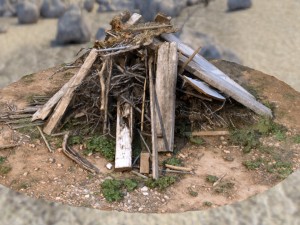 wood debris photoscan Modelo 3D
