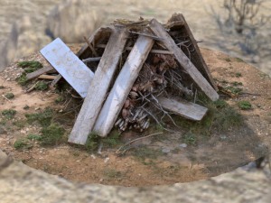 wood debris photoscan Modelo 3D