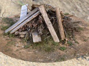 fotoscan de restos de madeira Modelo 3D