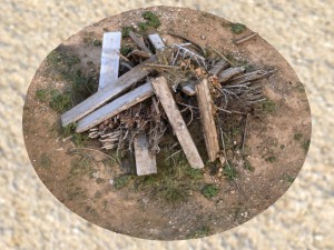 wood debris photoscan Modelo 3D