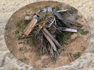wood debris photoscan Modelo 3D
