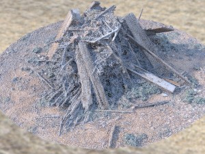 wood debris photoscan Modelo 3D