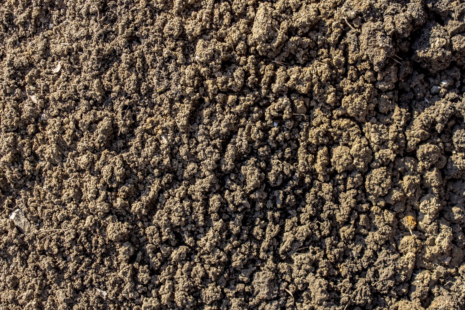 Sand ground texture 3d