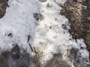 ground textures Texturas CG