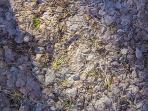 ground textures Texturas CG