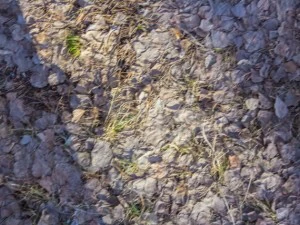 ground textures CG Textures