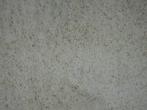 textures of carpet CG Dokuları