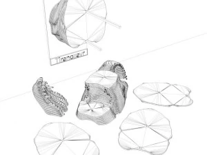 tiranossauro Modelo 3D