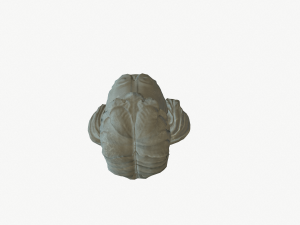 bust sculpture 3D Model