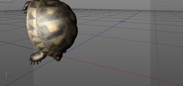 turtle  12 animations 3D Model .c4d .max .obj .3ds .fbx .stl .blend 