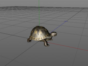 turtle  12 animations 3D Model