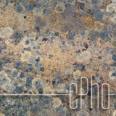 seamless lichen covered sandstone texture CG Textures .c4d .max .obj .3ds .fbx .stl .blend 