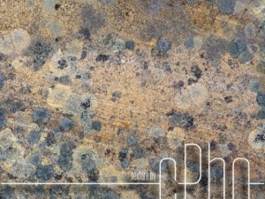 seamless lichen covered sandstone texture CG Textures