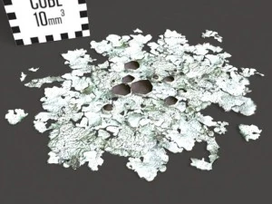 model set  lichen type 01 3D Model
