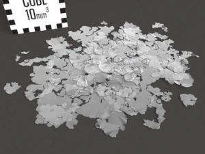 model set  lichen type 01 3D Model