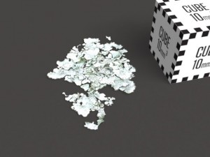 model set  lichen type 01 3D 모델