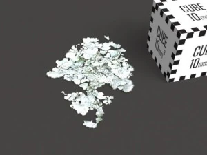 model set  lichen type 01 3D Model