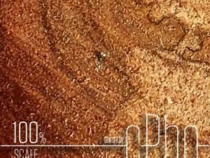 texture 6 pack  sawn grain wood 01 CG Textures