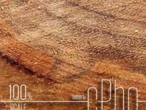 texture 6 pack  sawn grain wood 01 CG テクスチャ