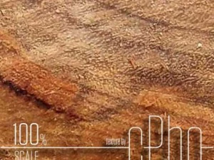 texture 6 pack  sawn grain wood 01 CG Textures