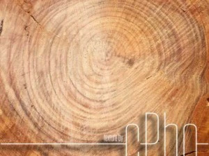 texture 6 pack  sawn grain wood 01 CG Textures