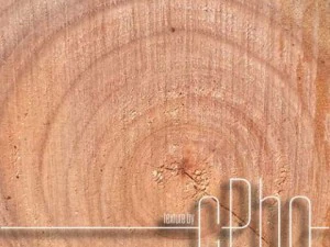 texture 6 pack  sawn grain wood 01 CG Textures