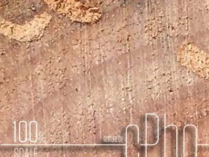 texture 6 pack  sawn grain wood 01 CG Textures